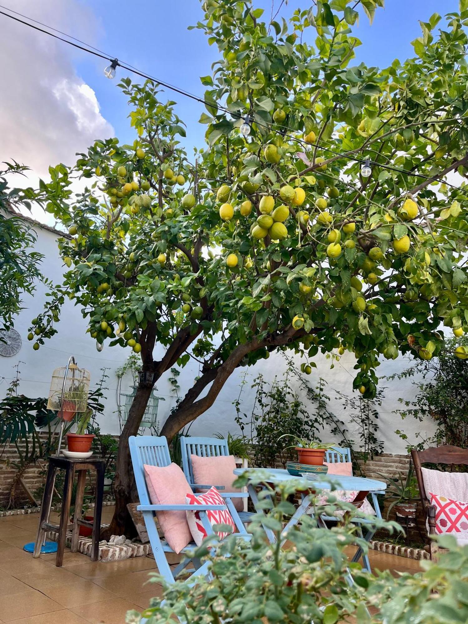 El Patio Del Limonero Villa Ecija Bagian luar foto
